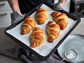 Home-baked croissants fresh out of the oven