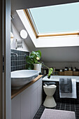 Bathroom with skylight