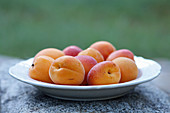 Fresh apricots on a plate