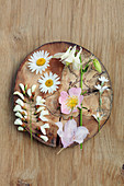Ox-eye daisies, aquilegia, dog rose, lady's smock and chickweed on wooden board