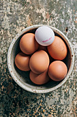 Brown eggs and one white stamped egg