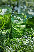 Detox-Getränke mit frischer Minze im Gras