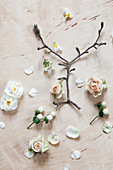 Magnolia twig, roses, narcissus, waxflower and white St. John's wort berries