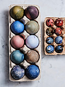Tray of eggs dyed in different colors for Easter