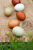 Six natural colored eggs on wooden board