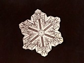 Snowflake, photographed by Wilson Bentley