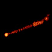 M87 jet in polarized light, ALMA image
