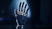 Humanoid robot arm