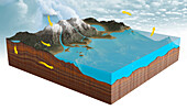 Water cycle, illustration