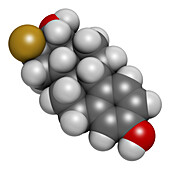 Fluoroestradiol F-18 diagnostic molecule, illustration