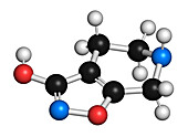 Gaboxadol drug molecule, illustration