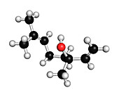 Linalool scent molecule, illustration