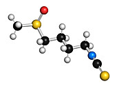 Sulforaphane cruciferous vegetable molecule, illustration