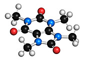 Theacrine molecule, illustration