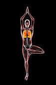 Skeleton in tree yoga pose, illustration.