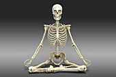 Skeleton in lotus yoga pose, illustration