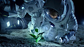 Astronauts analysing alien plant life