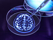 Neurology research, conceptual image