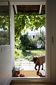Blick auf Veranda mit Hund