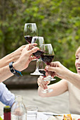 Family toasting red wine glasses