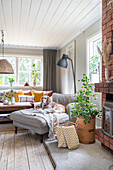 Dog on comfortable upholstered chair in living room