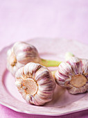 Fresh bulbs of garlic on pink plate