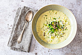 Cream of leek soup with cheese and ground beef