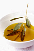 Olive oil with an olive sprig
