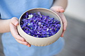 A bowl of violet flowers