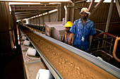 Cobalt and copper extraction plant, DR Congo