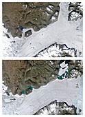 Glacier splitting from its parent glacier, satellite images