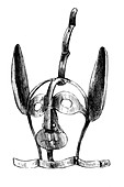 Shame mask, 19th century illustration