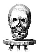 Dead skull, instrument of torture, 19th century illustration