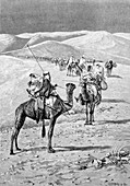 Camel caravan in the Sahara Desert, Africa, illustration