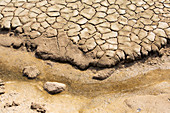 Mudracks in mudflat silt