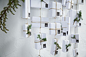Weiß verpackte Geschenke als Adventskalender mit Wacholderwzeigen dekoriert