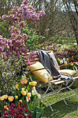 Gartenbank am Beet mit blühendem Zierapfelbaum, Kurilenkirsche, Tulpen und Goldlack