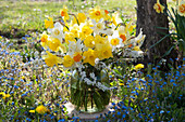Spring bouquet of daffodils and Bridal Wreath Spirea in a bed with forget-me-nots