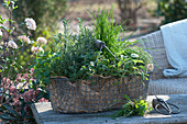 Wire basket as a herb garden: rosemary, chives, sage, thyme, oregano, and parsley, a small bouquet of herbs, and scissors