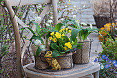 Blossoming wild garlic and cowslips clad with burlap in a wire basket