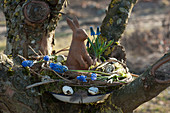 Osternest mit Kranz aus Clematisranken, Traubenhyazinthen und Moos in Emailleschüssel im Baum, Osterhase und Ostereier