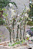 Tall glasses with flowering branches of blackthorn, shadbush, and broom