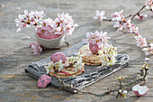 Österliche Blütendeko mit Pfirsichblüten und Kirschblüten, Eierschalen als Väschen, Kekse auf Serviette