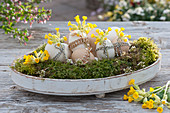 Ostereier im Moosbett auf Holztablett, dekoriert mit Schnur und Schlüsselblumen