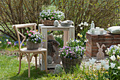 Easter decoration on a small gravel terrace in the garden: baskets with horned violets, Tausendschon Roses, and spring snowflakes, Easter eggs, Easter bunny, tray with cups and glasses on a small wall, plates, and napkins