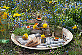 Kleines Osterpicknick im Garten: gekochte Ostereier mit Keta-Kaviar, Toastbrot, Schnittlauch, Löwenzahnblüten, Schälchen mit Kresse und Gläser