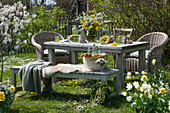 Easter table decoration in the garden: a bouquet of flowering twigs and dandelions, Easter bunny, basket with Easter eggs, and flower wreath