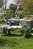 Easter table decoration in the garden: Woman brings a bouquet of flowering twigs and dandelions, Easter bunny, basket with Easter eggs, and a floral wreath