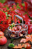 Körbchen mit Esskastanien, umgeben von Chrysanthemen und Apfel