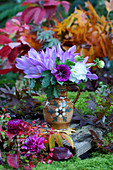 Mallow, autumn crocus and dahlias in jug